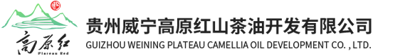 高原红山茶油