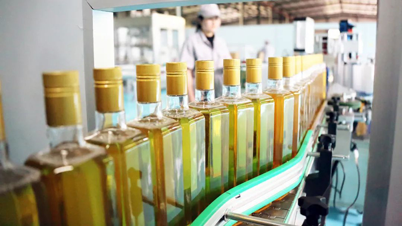 威宁：短柱油茶引来长效产业