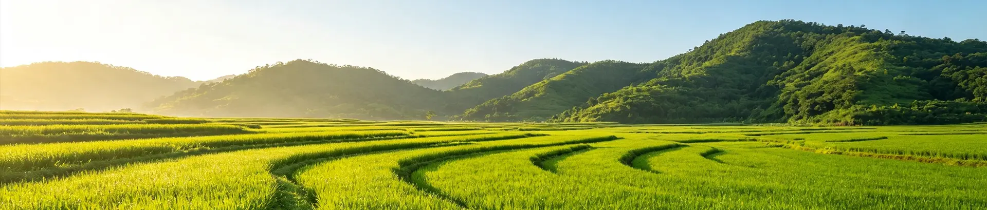 联系我们